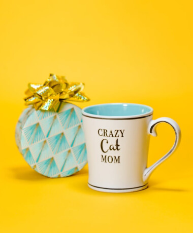 offer-01